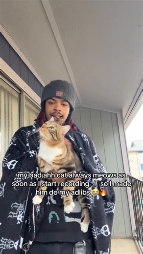 D6ANDZ 🔊 on Instagram: "Normalize cat labor 🐈 #unsignedartist #unsigned #unsignedtalent #unsignedrapper #unsignedhype #soundcloud #soundcloudrap #cats_of_instagram #d6andz #cats #rapmemes #soundcloudartist"