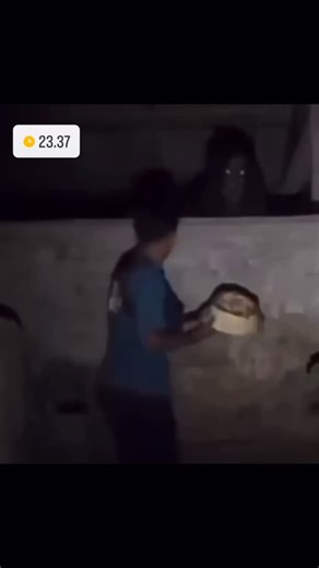 ⋆badlo0⋆ | XD #meme #reels #viral #funny #fail #momo #postshitpost | Instagram