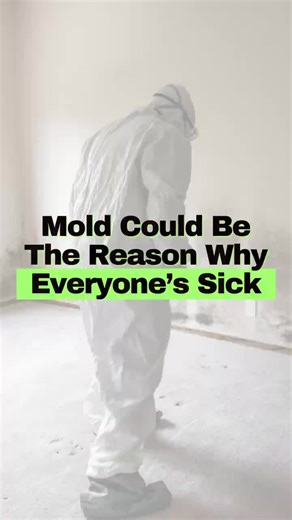 Unexplained symptoms that won’t go away? 😴🤧 Brain fog, fatigue, sinus issues, dizziness, or feeling “off” for months can be a hidden sign of mold exposure in your home. 🚨 Mold symptoms often affect multiple people in the house — and most don’t realize why they’re all unwell. The good news? Mold can be remediated, and your body can heal with proper detox immune support. 💚 At LifeWorks Wellness Center, we uncover hidden triggers like mold toxicity and guide patients through advanced detox and 