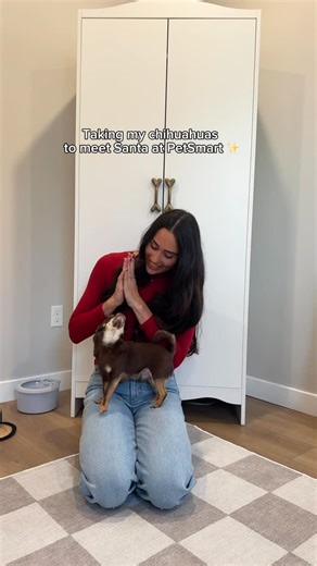 Serena Stadler on Instagram: "They’re such little wiggle worms🤣 Thanks for being such a good Sport Santa @petsmart"