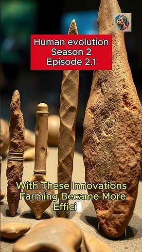 2.1 Neolithic Tools: The Evolution of Farming Technology