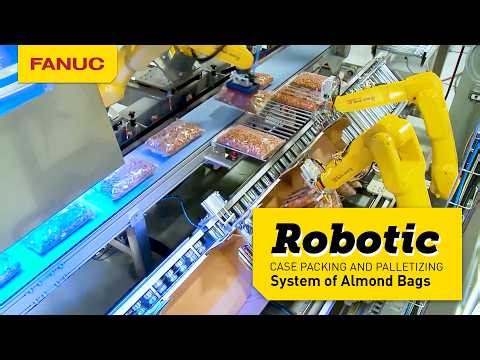 Automated Almond Bag Packing