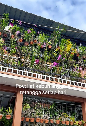 Kebun Anggrek Tetangga yang Menakjubkan