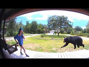 FUNNIEST Animal Videos Ever | AFV Wild Animals Encounters Caught on Camera