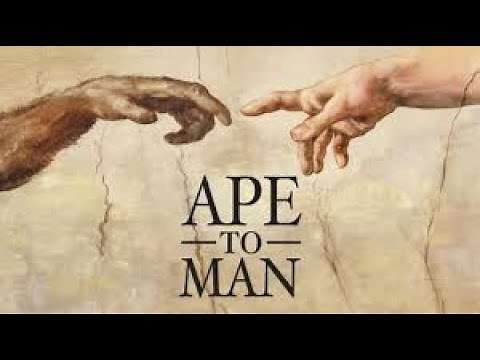 Ape To Man (2005)