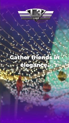 Holiday Lights Tour Ride #holidays #partybus #tampa #l3limo