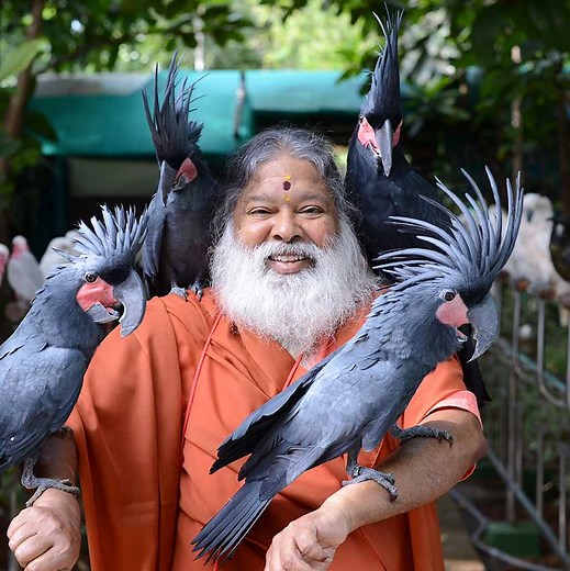 32M views · 214K reactions | This sanctuary holds the record for most bird species in an aviary, with over 468 at SGS Birds - Shuka Vana in Mysuru, India  | Guinness World Records | Facebook