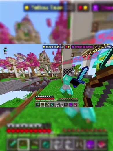 Minecraft sky wars win