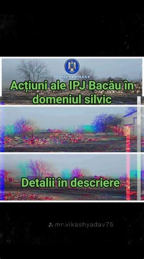 Acțiuni ale IPJ Bacău în domeniul silvic #news #bacau #paduri