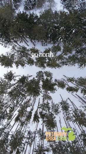 The north is calling! So many places to see so little time, check out all of the great places in Petoskey Area. Features in this video: ❄️ Downtown Petoskey and Harbor Springs ❄️Boyne Mountain’s SkyBridge Michigan ❄️Bear River in Downtown Petoskey Area ❄️McCune Nature Preserve - plowed parking lot and groomed trails #petoskeyarea #northernmichigan #puremichigan #lakemichigan #littletraversebay | Petoskey Area Visitors Bureau