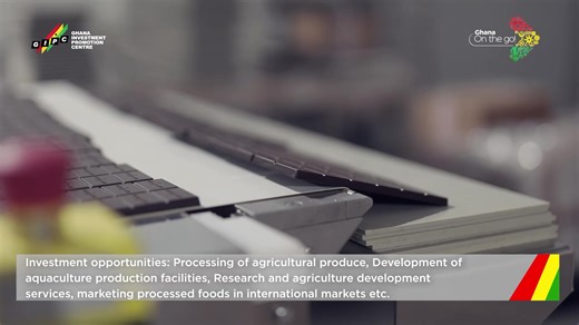 Ghana’s agro-industry prospects are steadily improving, thanks to its...