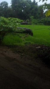 Most of what reaches your eyes never reaches awareness. Perception is not a complete record of reality, but a carefully filtered construction shaped by attention and neural limits. What you experience as “seeing” is already reduced long before it becomes conscious. | InsideBiology