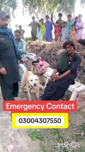 Army dog centre Multan cantt