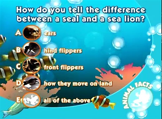 Animal Atlas by holly.strong - Dailymotion