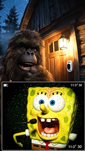 Doorbell catches SpongeBob Six Seven