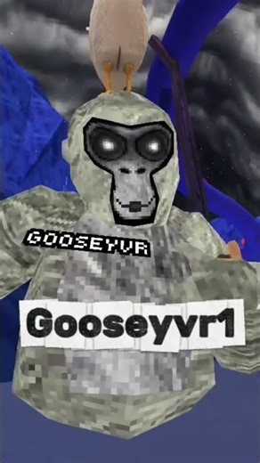 My new fan code😃😃 #monkey #gorrilatag #fancode