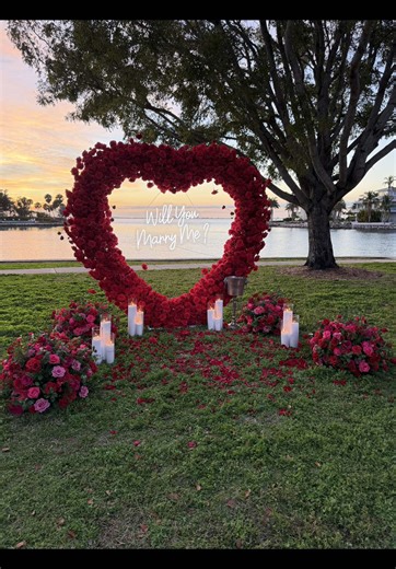 He understood the assignment 🥹💍🤍🌹🌅 Setup by @Certified Cupid Proposals #proposalgoals #CertifiedCupid #blacklove #engagement #engaged