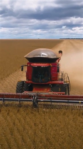 ¡Alcanzá nuevos niveles de eficiencia con la consechadora #Axial-flow Serie 250! 🚜🌾 No te pierdas de todos los beneficios que te ofrece: ✅ Automatización real ✅ Inteligencia artificial ✅ 4 modos de cosecha ✅ 16 sensores ✅ Mayor protencia y productividad ¡No te quedes atrás en la tecnología agrícola! 📌 Conocé más en www.grupoagroempresa.com.ar 📲 #GrupoAgroempresa #AgroempresaMaquinas #maquinarias #Campo #CampoArgentino #tractores | Grupo Agroempresa