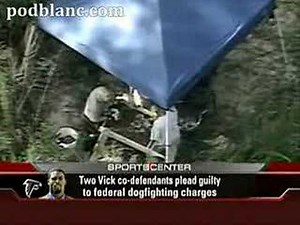 Michael Vick - Gruesome Details Emerge in Dog Fighting Case