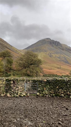1.6K views · 57 reactions | Sheep pens view 8:10am. A drizzly day forecast. A distinct smell of sheep wee in the air. #wasdale #SheepFarming #herdwicksheep #greatgable | Burnthwaite Farm B&B and Holiday Cottage | Facebook