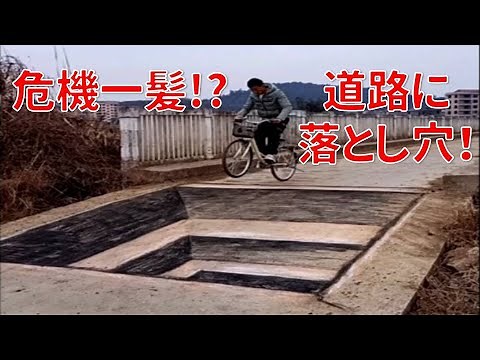 錯覚トリックアートの落とし穴 ヤギもビビって後ずさり！（笑）Pitfall Trick Art