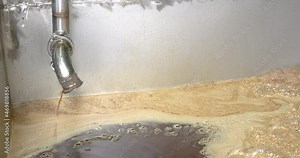 Cooked blue agave nectar must for fermenting and tequila production