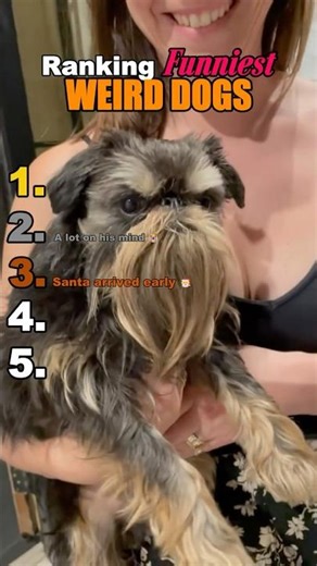 The Weirdest Dogs Ever Caught on Camera! 🐶 #dogs #weirddog #animals #funny