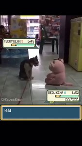 Jason Paige | Pokemon Battle IRL!🤣😳 🎥: @eeveesite #pokemon #pokemoncards #pokemontheme #pikachu #pokebattle #irl #pokèmon #pokemoncardcollecting #battle | Instagram