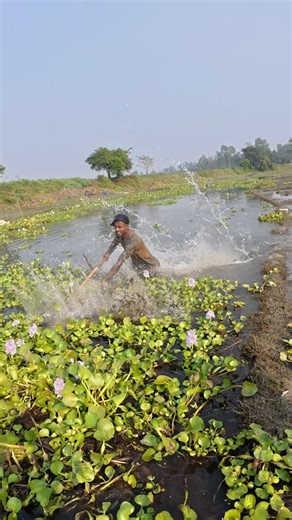Boys vs Big Fish — Hand Catch Challenge #shorts #river #fishing