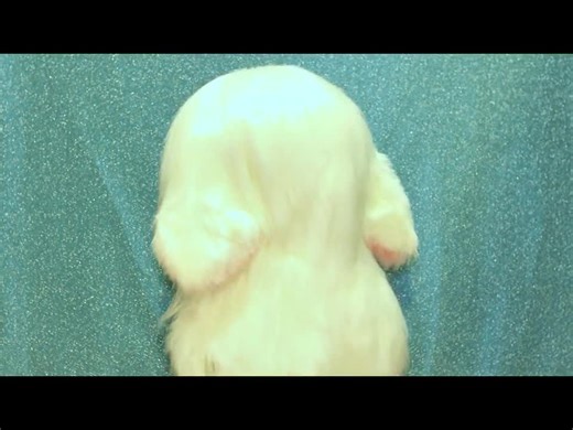 Kig Cute Cat Fursuit Mask With Neck Kawaii Furry Head Kigurumi Mask Cosplay Furry Mask Cute Anime Mask Cheap Fursuit Unique Gift for Her - Etsy