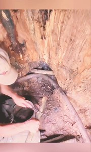 31K views · 462 reactions | Man Builds Hidden Shelter Inside a Giant Tree #bushcraft #camping #camp #building #survival #shelter | Life Survival | Facebook