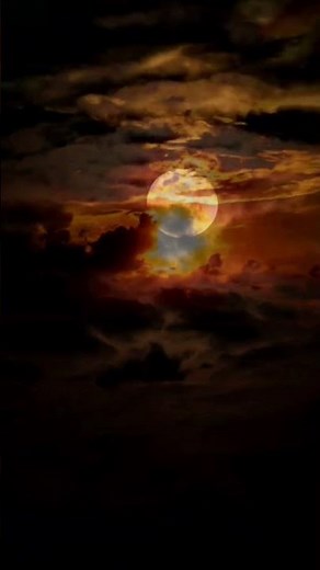 Wolves howling sounds | Howl sound effect 2022 |