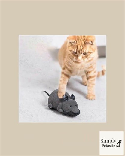 Interactive Remote Control Mouse Toy for Pets