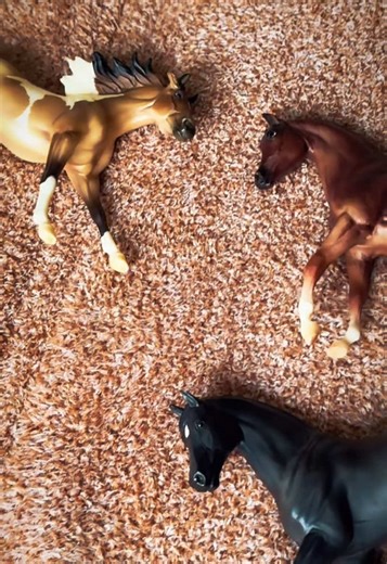 1:12 Breyer model horses ❤️ #breyer #breyerhorses #modelhorse | horses of tiktok