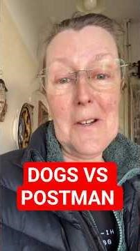 Why are Postmen afraid of dogs?
