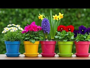 Grow a Gorgeous Garden: Spring Flower Planting Made Easy🌷🌷#garden #nature #flowers #video