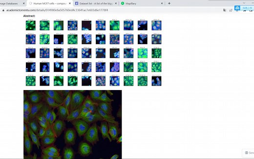 常用图像数据集网站：查阅、使用和下载