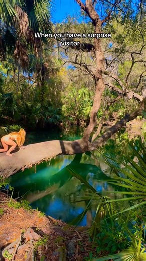 A surprise visitor on my swamp adventure with @CoraliaDives 🌳 🐢 #turtle #naturelovers #swamp