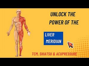 🟢 Liver Meridian Points & Locations | Essential Guide for TCM, Shiatsu & Acupressure