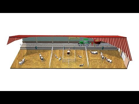 Zweiraum-Tieflaufstall für Mutterkühe