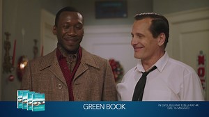 Fra pochi giorni il film vincitore del premio Oscar sarà tuo per sempre. #GreenBook, disponibile in DVD, Blu-ray e Blu-ray 4k dal 16 maggio. | Green Book