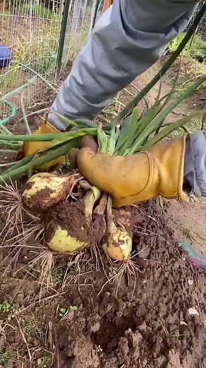 1.7M views · 10K reactions | It’s getting cold now in Alaska so, I...