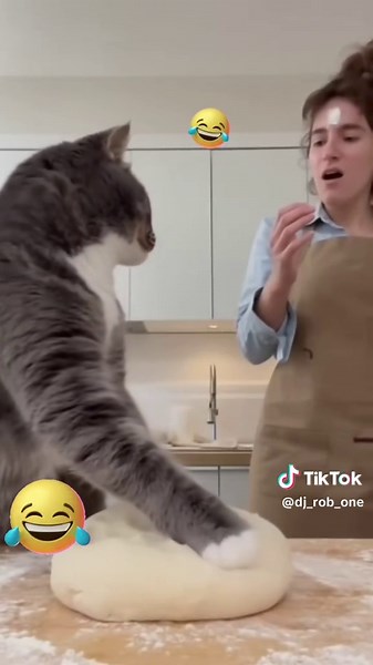 Dj_ROB_ONE (@dj_rob_one)’s video of toma que toma