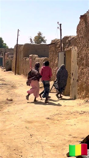 Hommage aux Forces Armées Maliennes à Diabaly