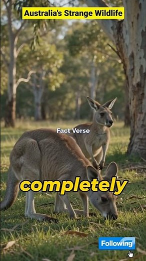 Why Is Australia Full of Unique Animals? – Evolution Explained #youtubeshorts
