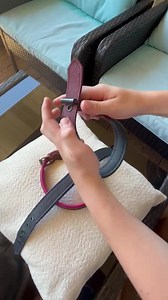 Padded Full Grain Leather Dog Collar. - Etsy