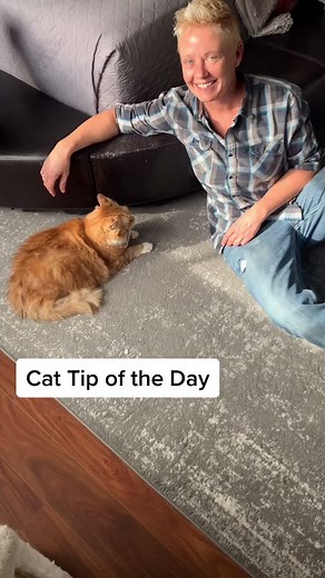 Cat Drooling: Tips for Measuring and Managing Your Cat's Drool