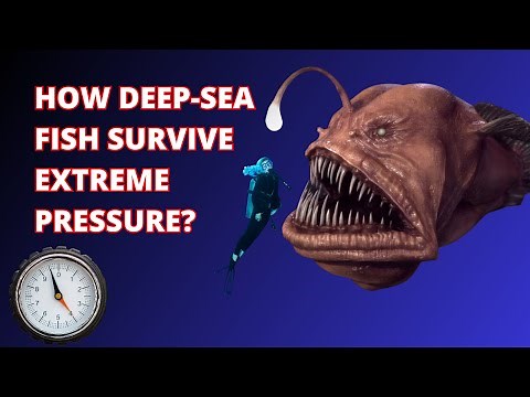 How Deep-Sea Fish Survive Extreme Pressure? Unlocking the Secrets