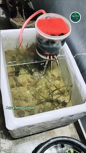 DIY Aquarium Filter | How to make an Aquarium Pond Filter #diyfilter #pondsetup ‪@AquaTerraGarden‬