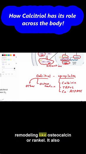 Calcitriol has a role almost EVERYWHERE in our body! ☀️ #biochemistry #medicine #mbbs #vitamind